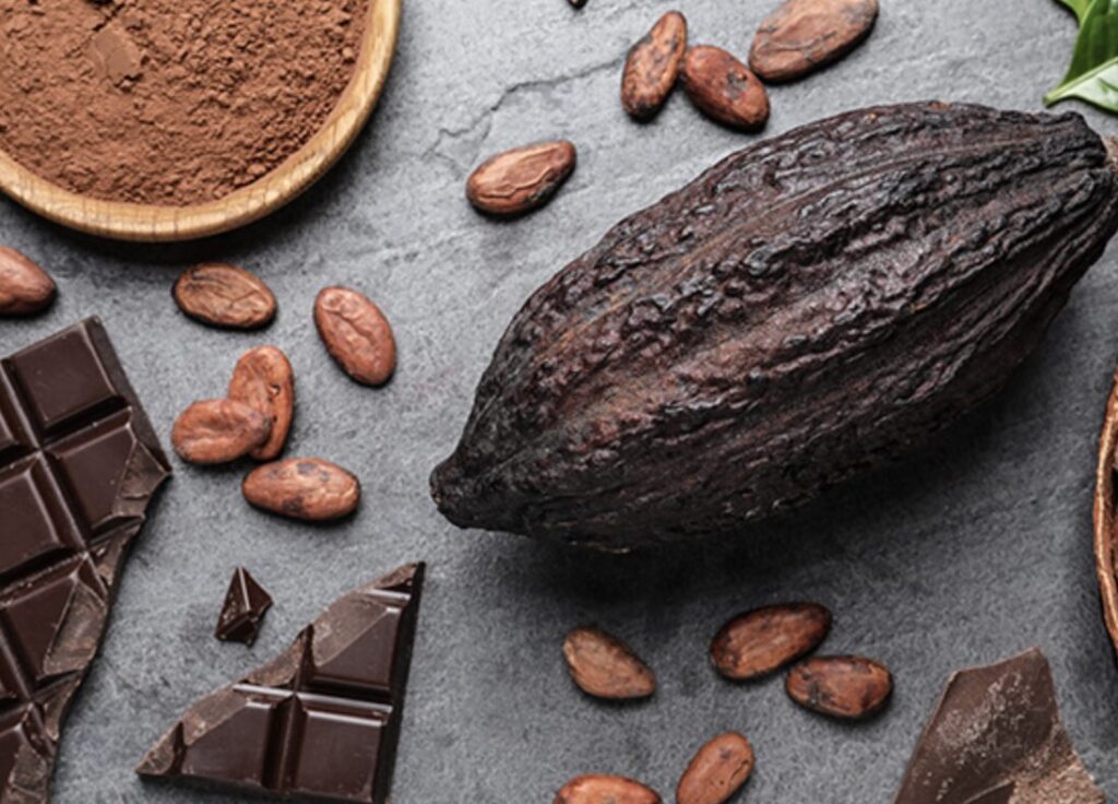 チョコレートとカカオを並べた画像