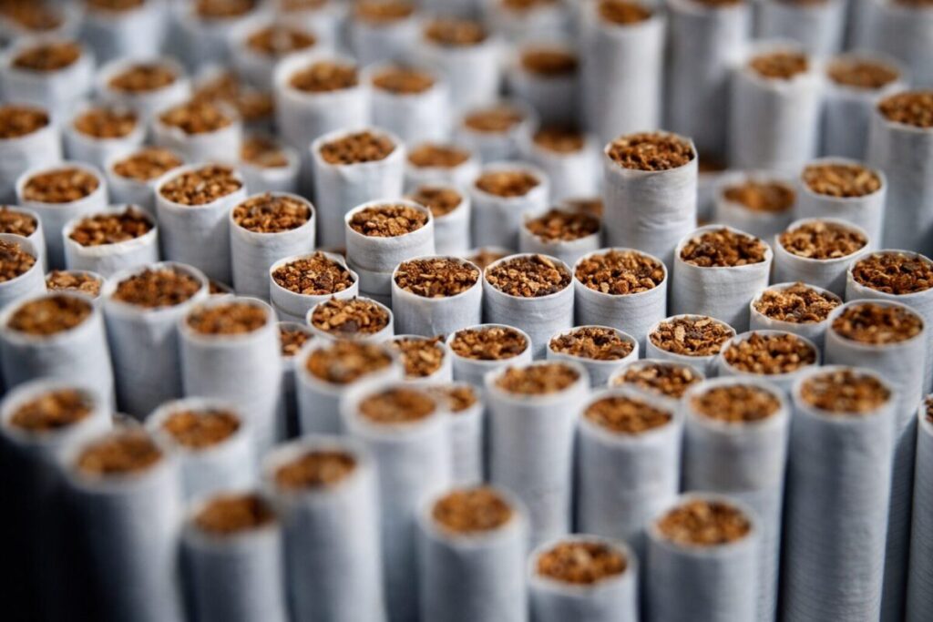 多数の紙巻きタバコの先端部分をクローズアップした構図で、細かい刻みタバコの質感がはっきり見える様子